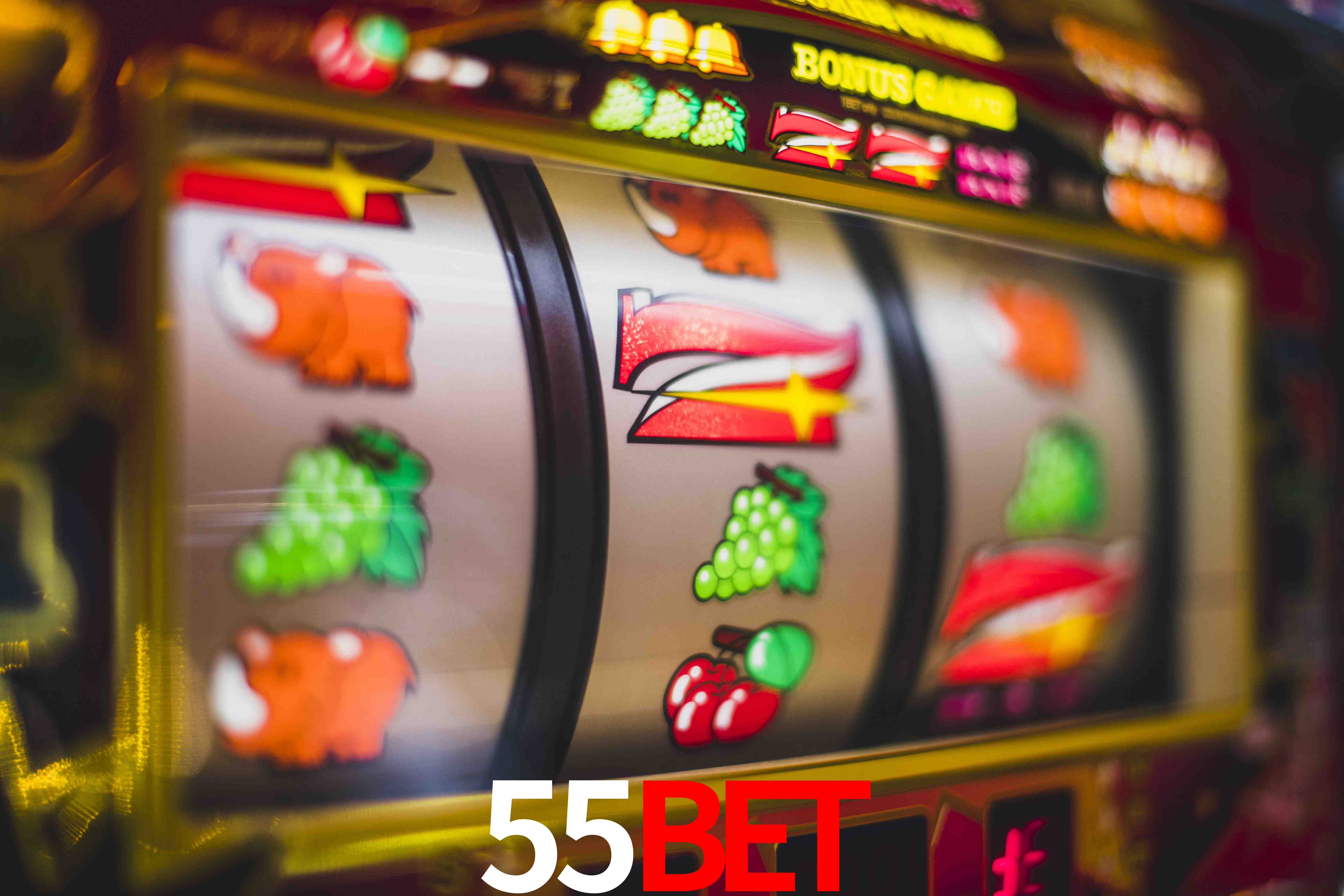 Tennis Betting 55Bet